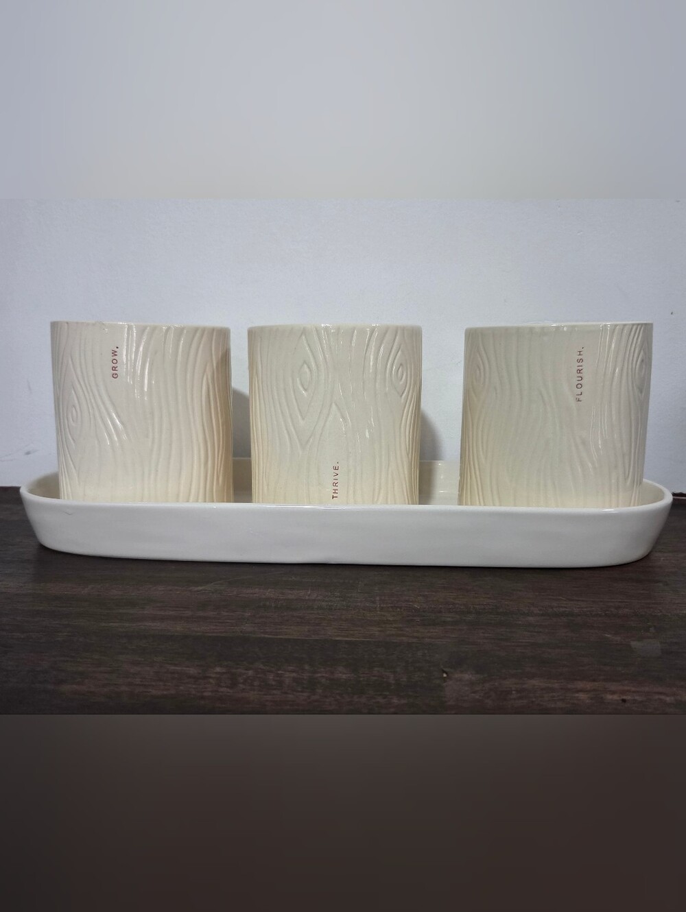 Rae Dunn Ceramic Trio Planter Set with Tray - Grow Thrive Flourish
